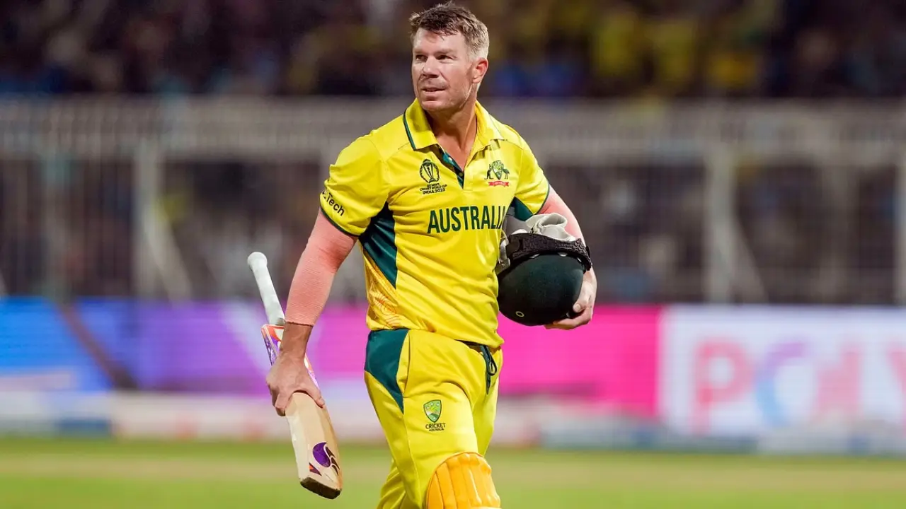 David Warner Net Worth Details David Warner Net Worth Details