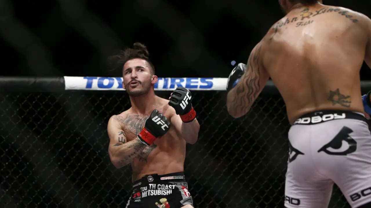 Ian McCall Biography