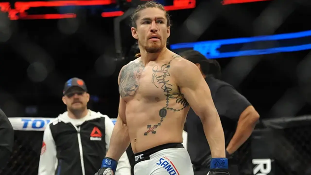 Luke Sanders Biography