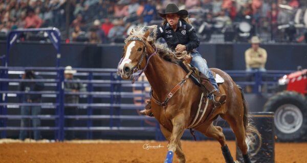 Where to Watch American Rodeo 2023