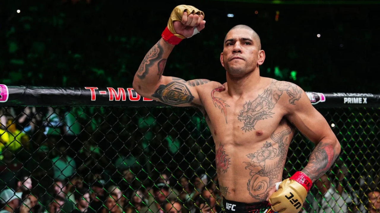 Alex Pereira Net Worth Details