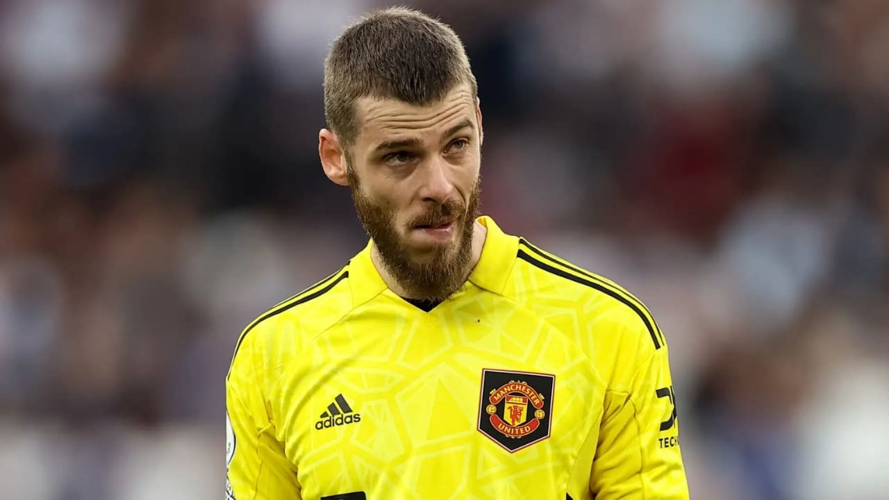David De Gea Net Worth Details