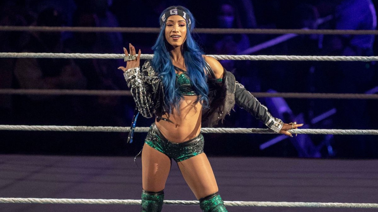 Sasha Banks Net Worth Details