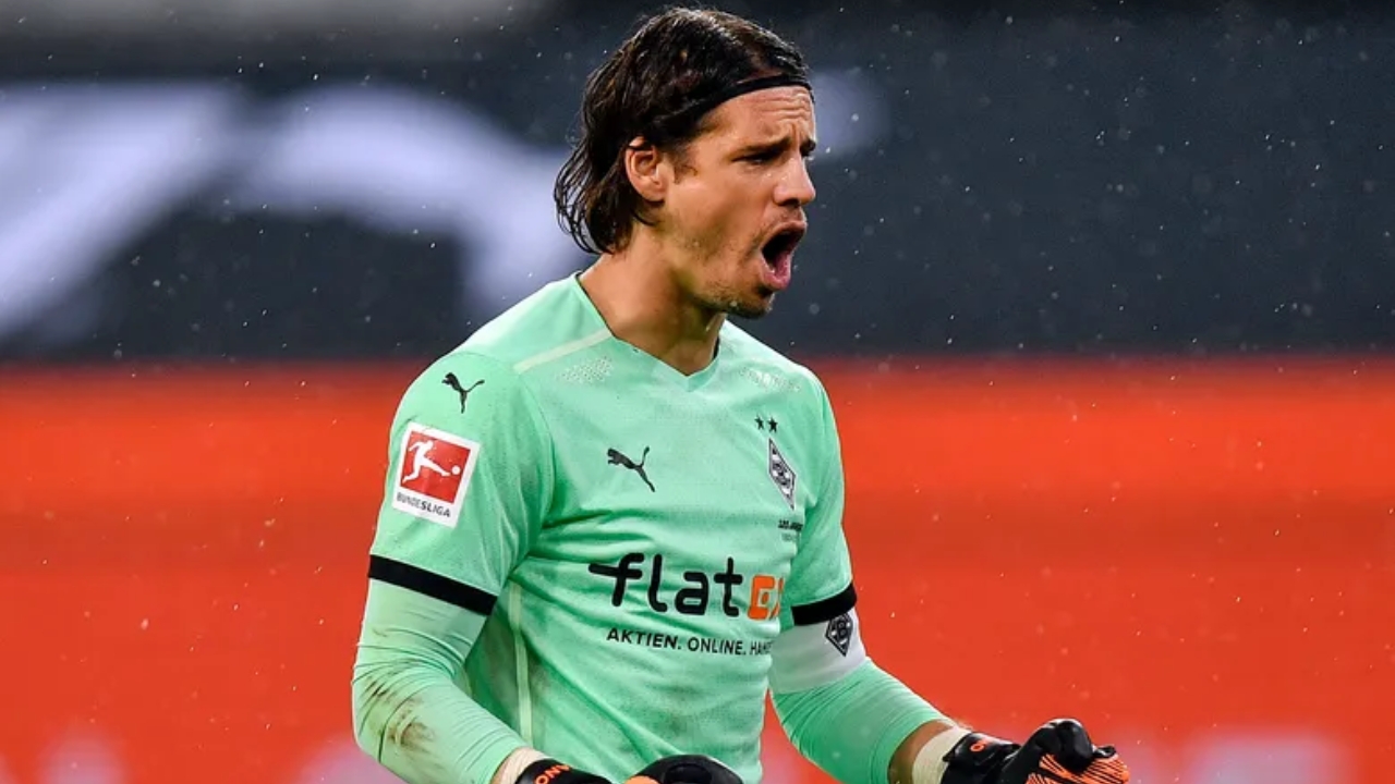 Yann Sommer Net Worth Details