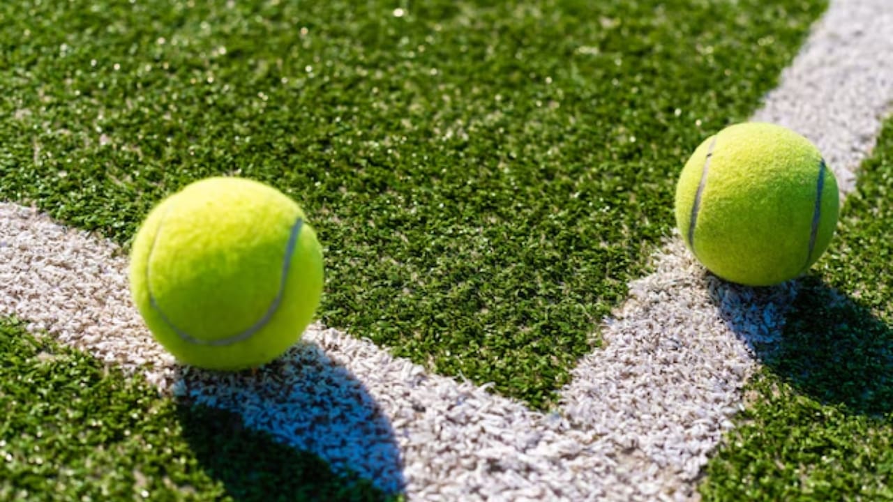 How Big is a Standard Tennis Ball How Big is a Standard Tennis Ball