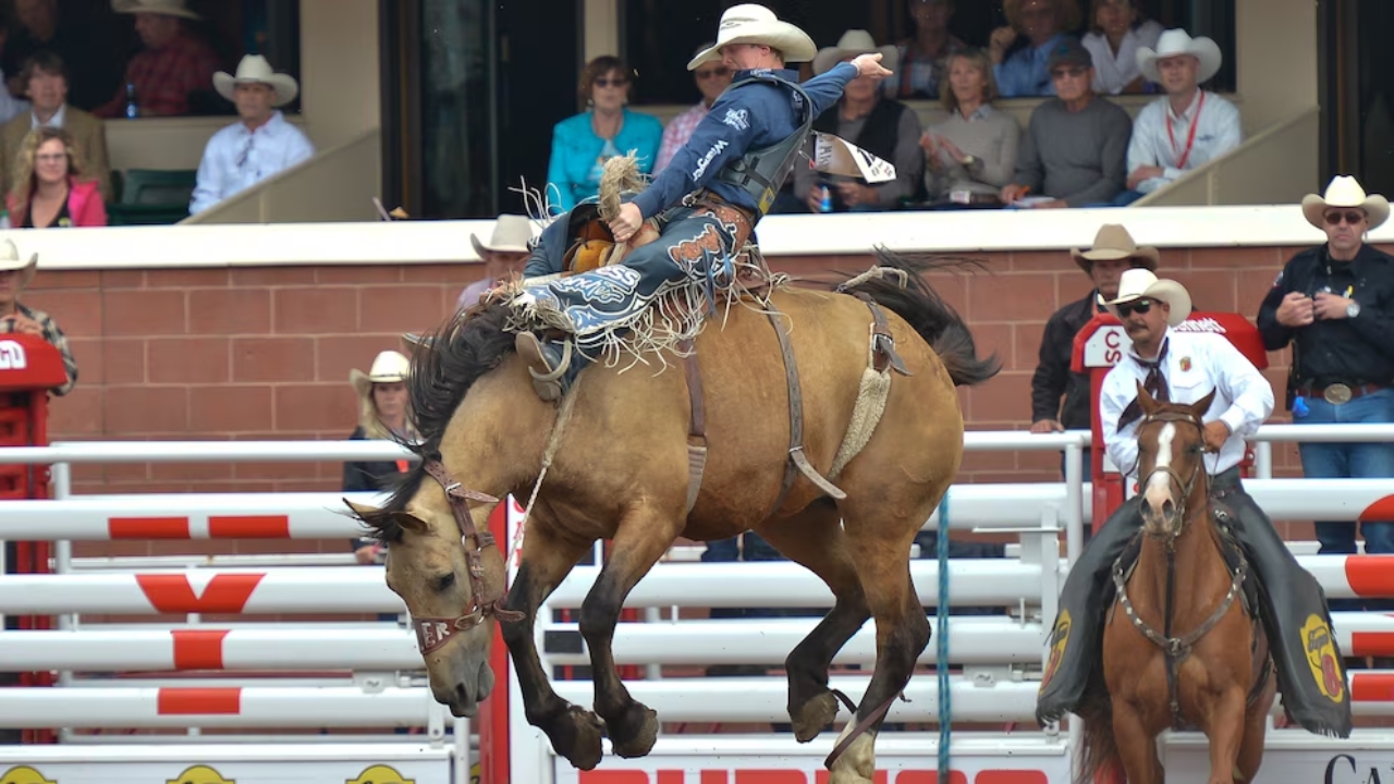 How Does a Rodeo Star Get around