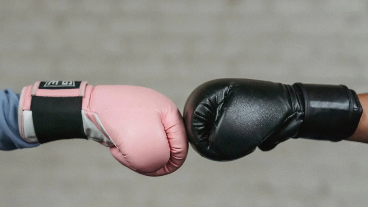 How Should Mma Gloves Fit