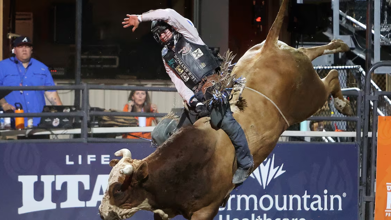 How to Get into Rodeo Bull Riding
