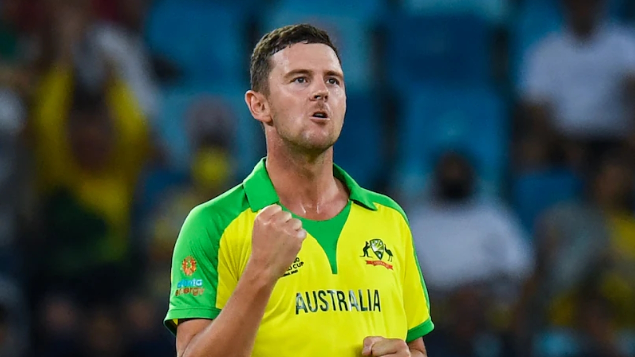 Josh Hazlewood Net Worth Details
