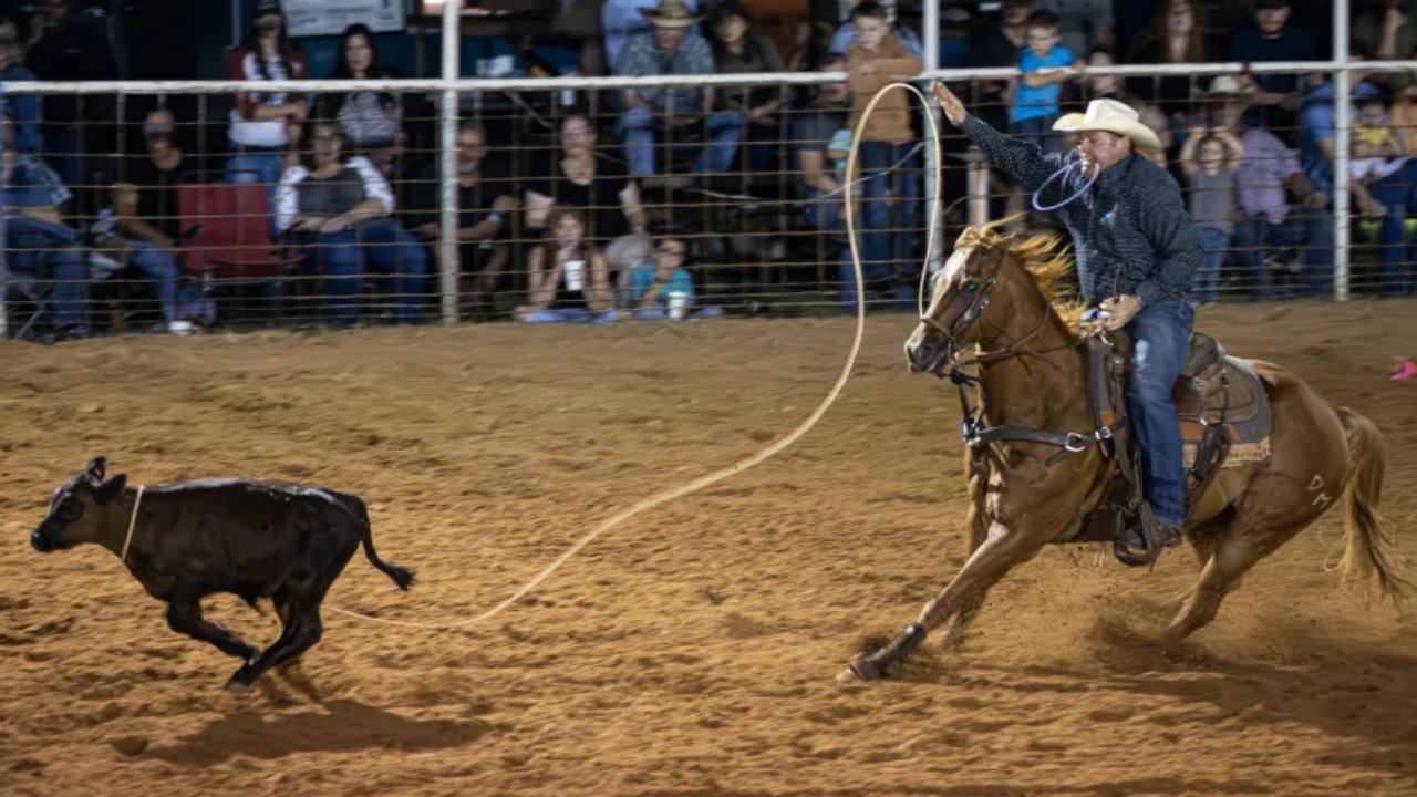 What Does Slack Mean in Rodeo
