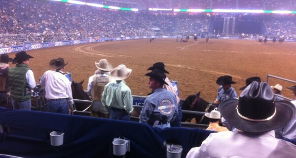 What are Chute Seats at the Rodeo