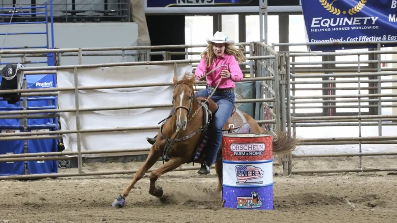 What is a Roughie in a Rodeo