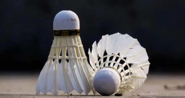 What is the Badminton Ball Called