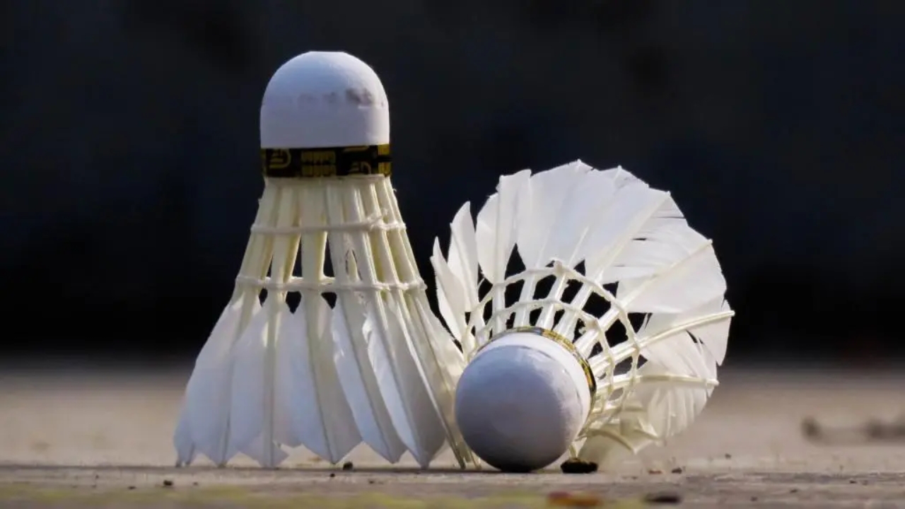 What is the Badminton Ball Called