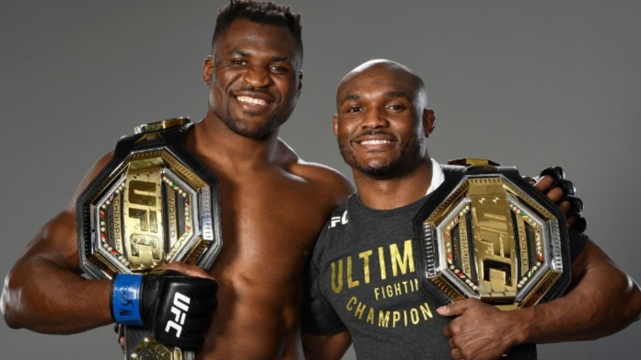 What is the Metal Thing in Ufc What is the Metal Thing in Ufc