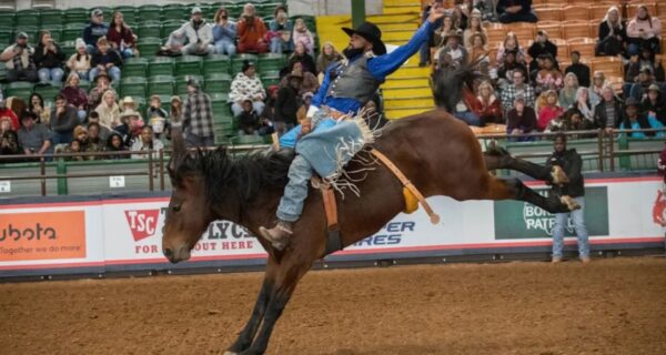 Where is the Black Rodeo in Texas