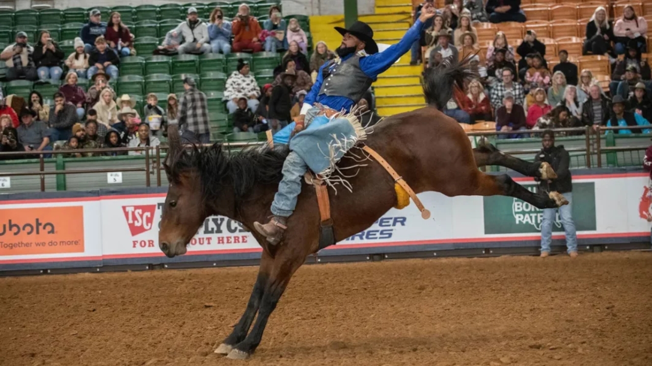 Where is the Black Rodeo in Texas
