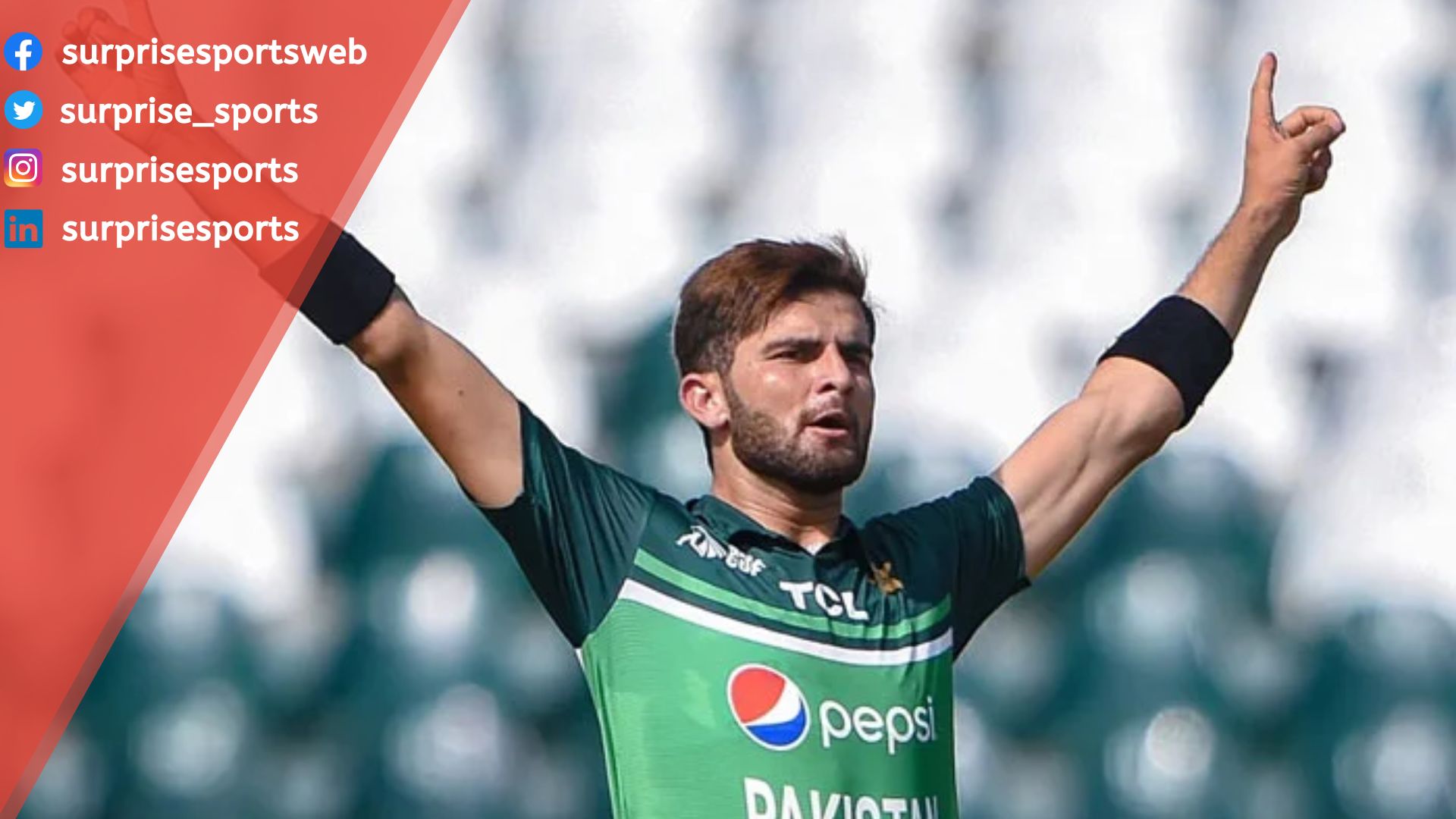 Shaheen Afridi Net Worth Details