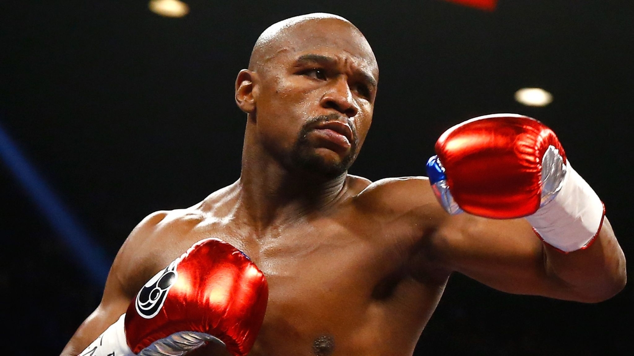 What Boxing Gloves Do Pros Use