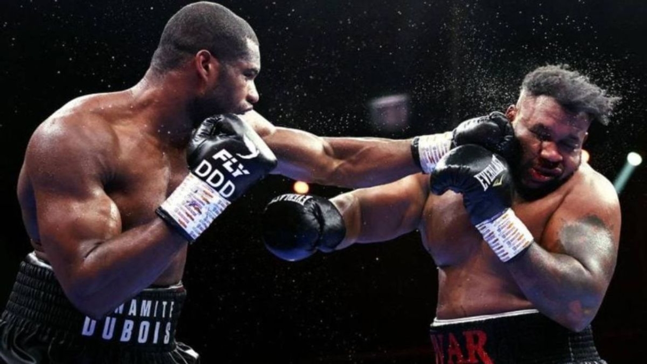 Daniel Dubois Biography