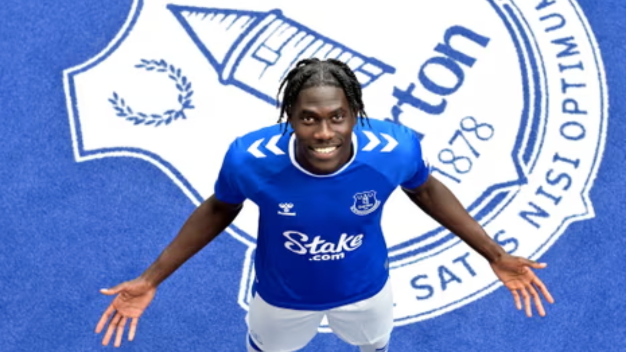 Amadou Onana Net Worth Details