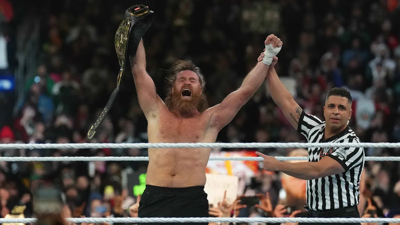 Sami Zayn Net Worth Details