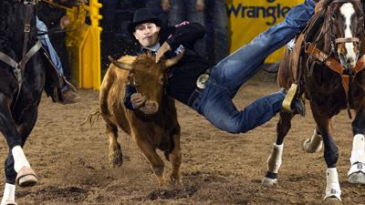 Jesse Brown Biography