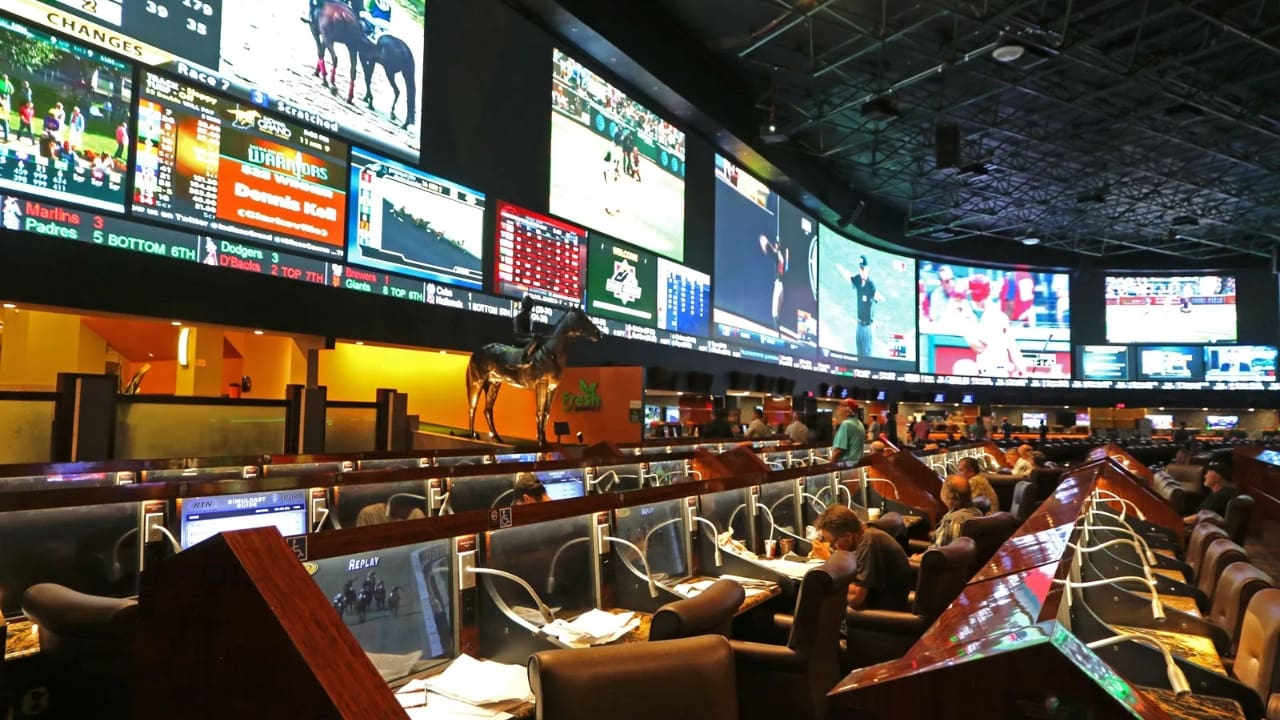 Sports Betting (1) Sports Betting