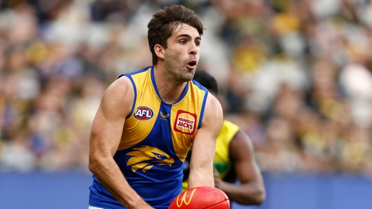 Andrew Gaff Biography