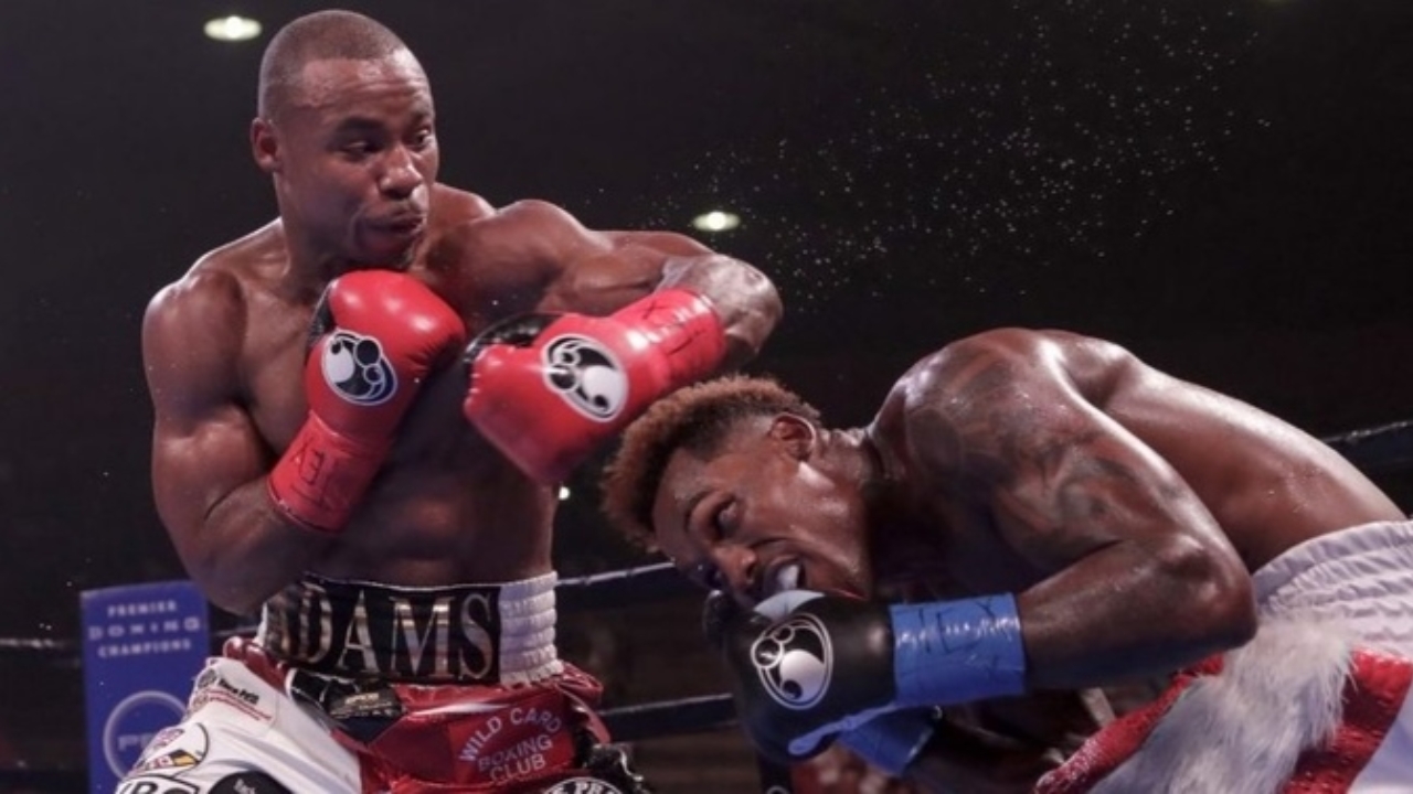 Brandon Adams Biography