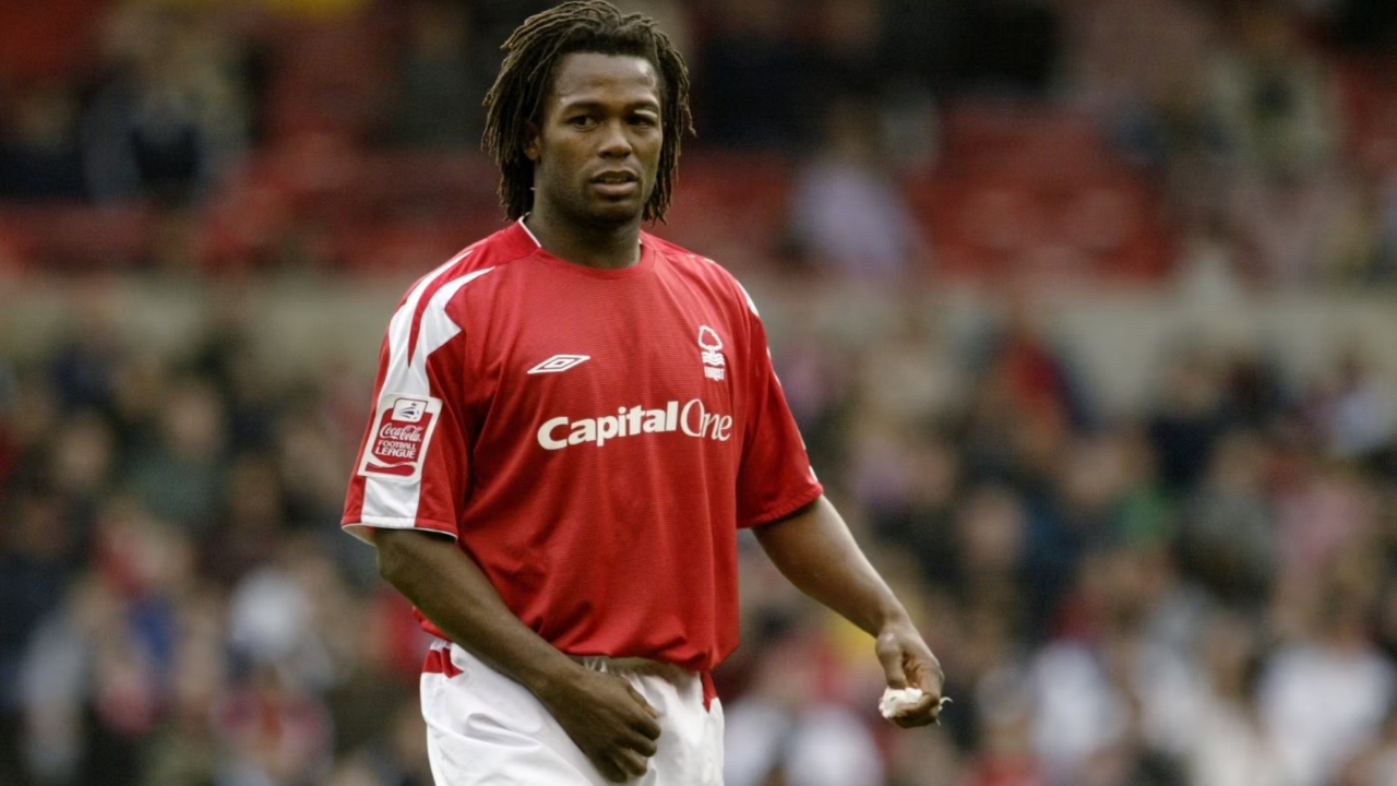 David Johnson Biography