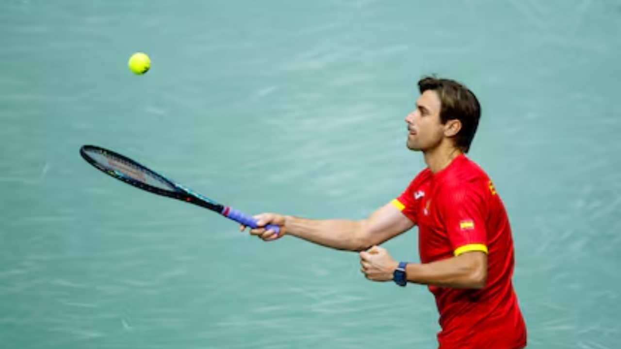 David Ferrer Biography