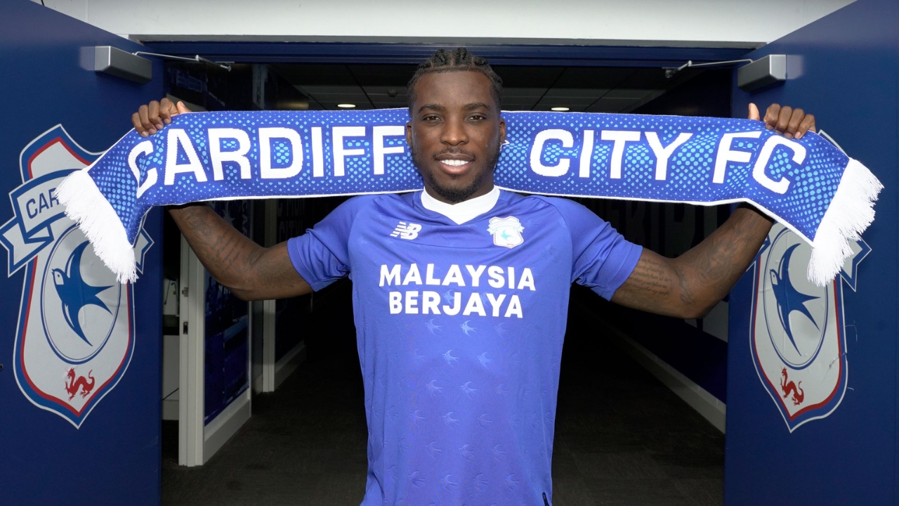Sheyi Ojo Net Worth Details