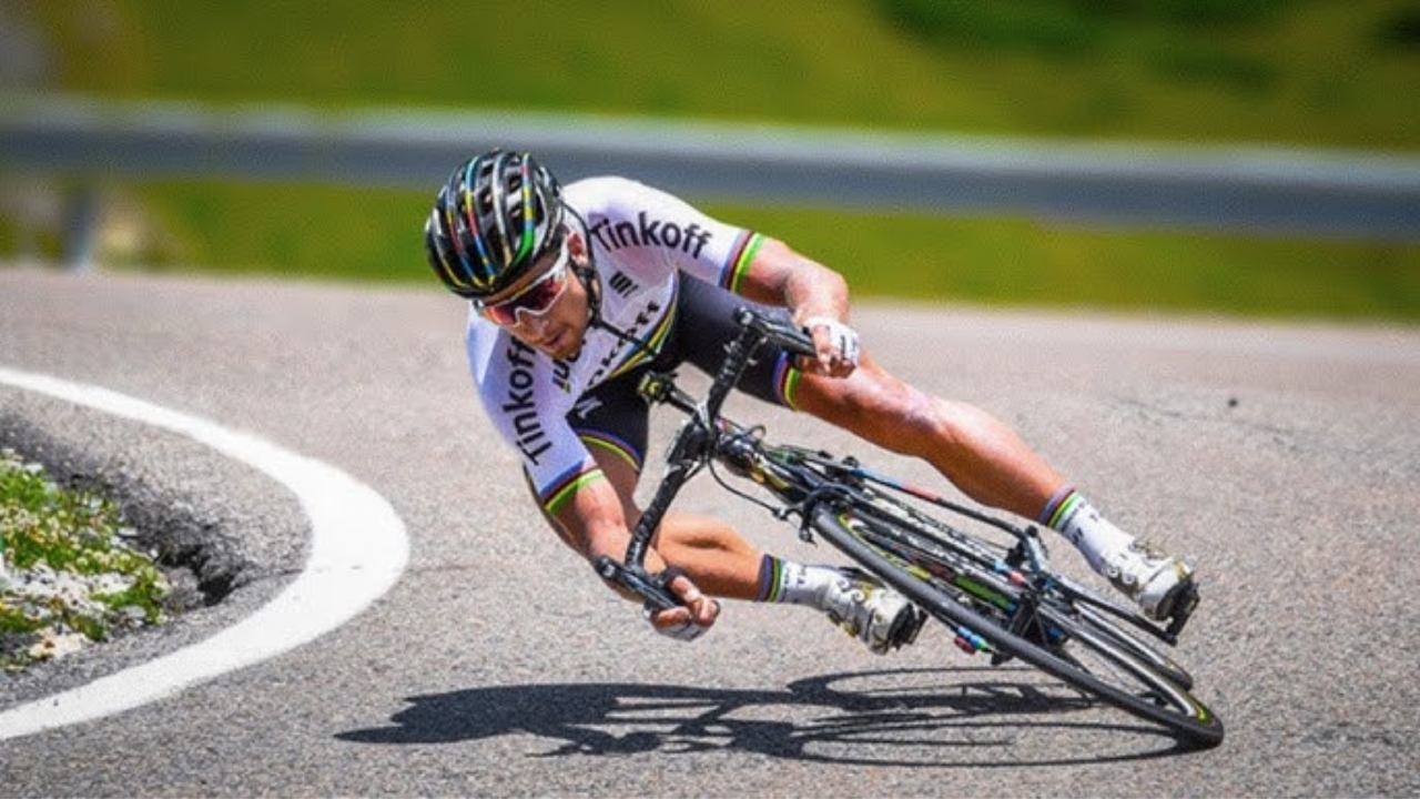 Adri van der Poel Net Worth Details