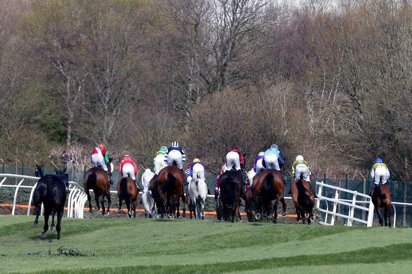 Cheltenham Gold Cup Picture