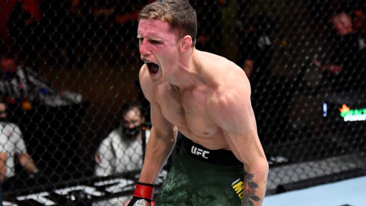 Jamie Mullarkey Biography