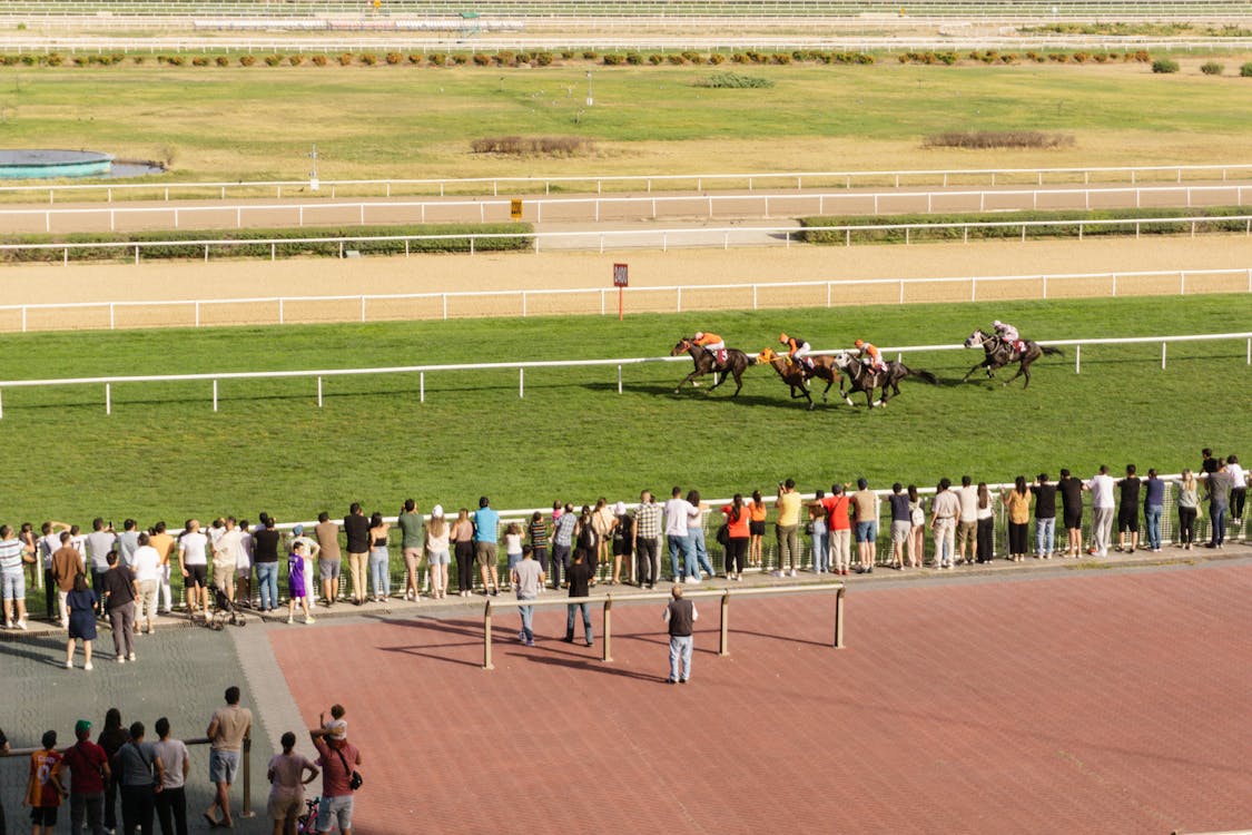 Horse Racing