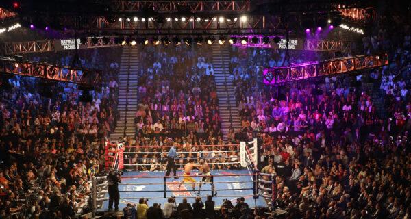 Live Boxing Match