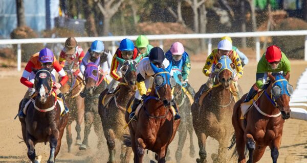 Horse Racing