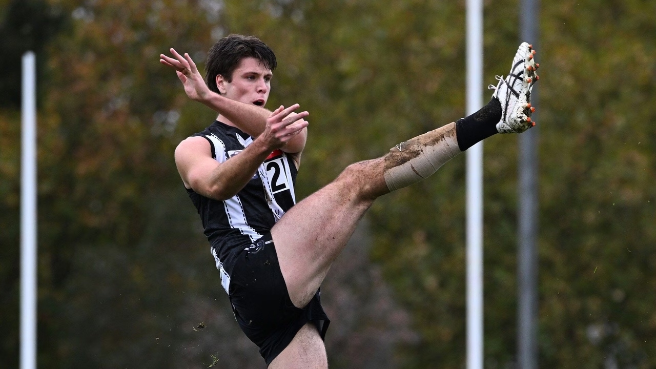 Oscar Steene's Net Worth Details