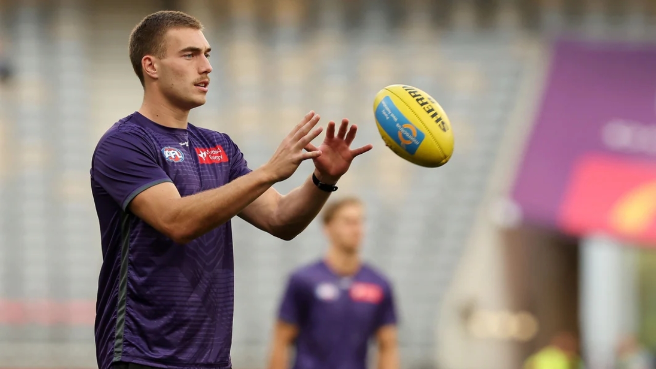 Liam Reidy's Net Worth Details