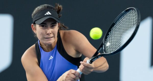 Elena Micic's Net Worth Details