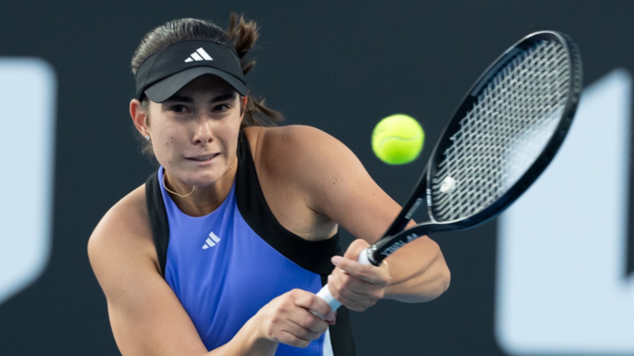 Elena Micic's Net Worth Details