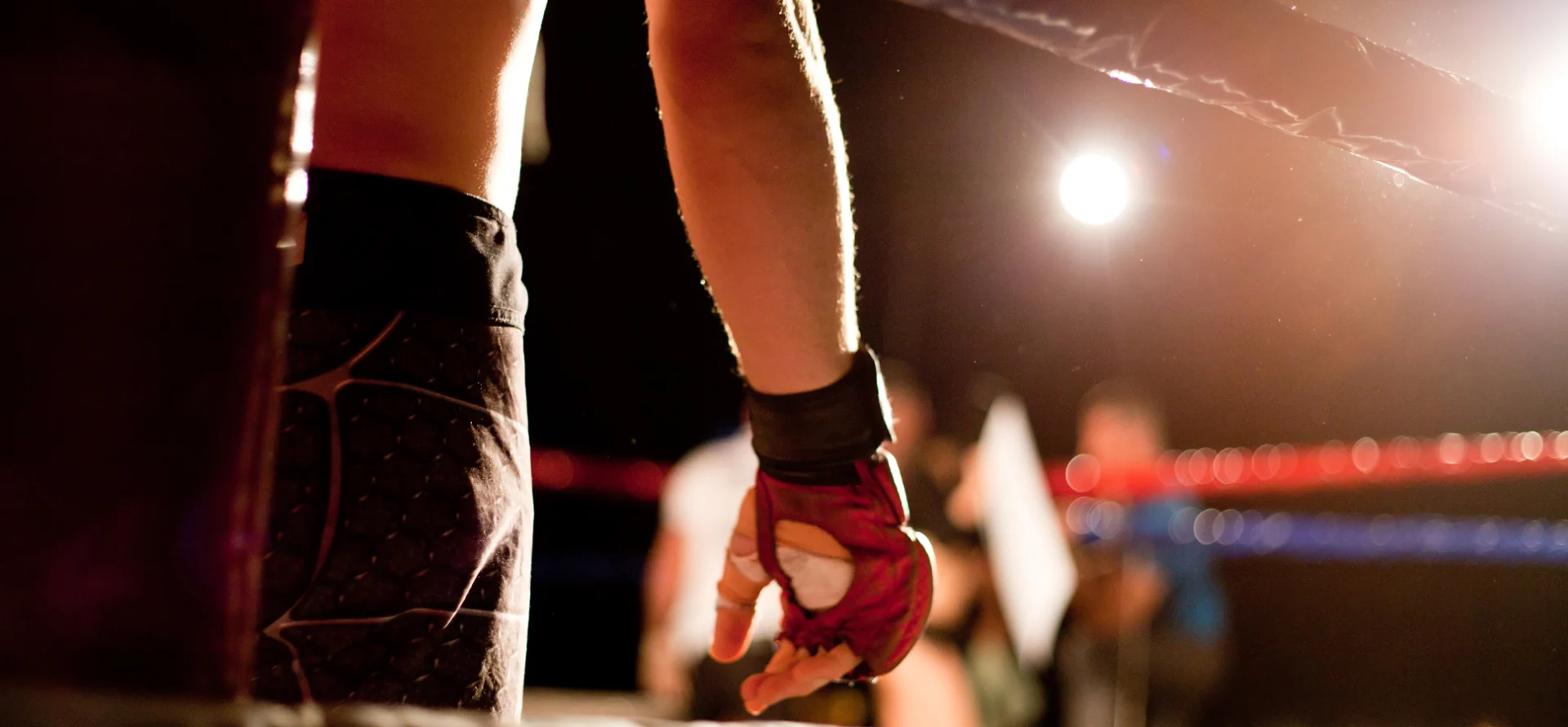 Why Underdogs Win More Often Than You Think in the Octagon