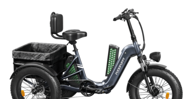Affordable Electric Trikes for Adults