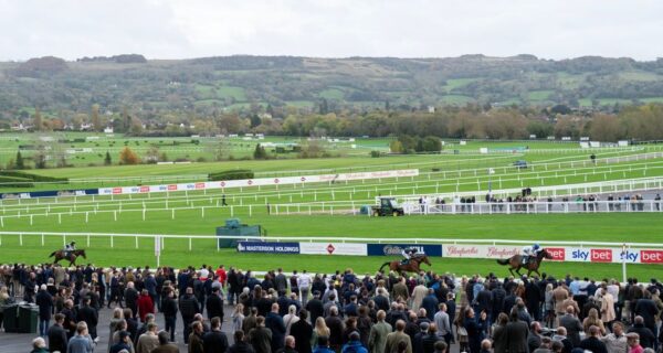 Cheltenham’s Attendance Rebound