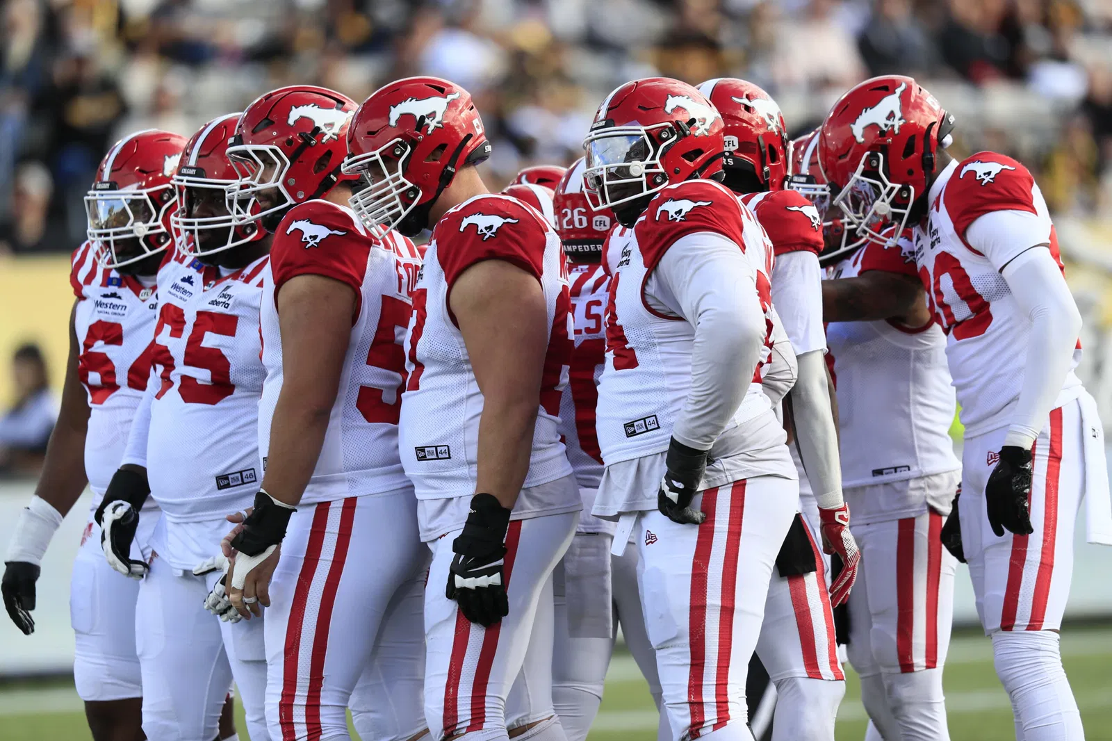 Calgary Stampeders Salaries