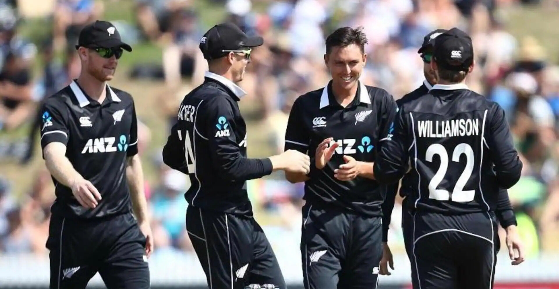 New Zealand Cricket Team Salary