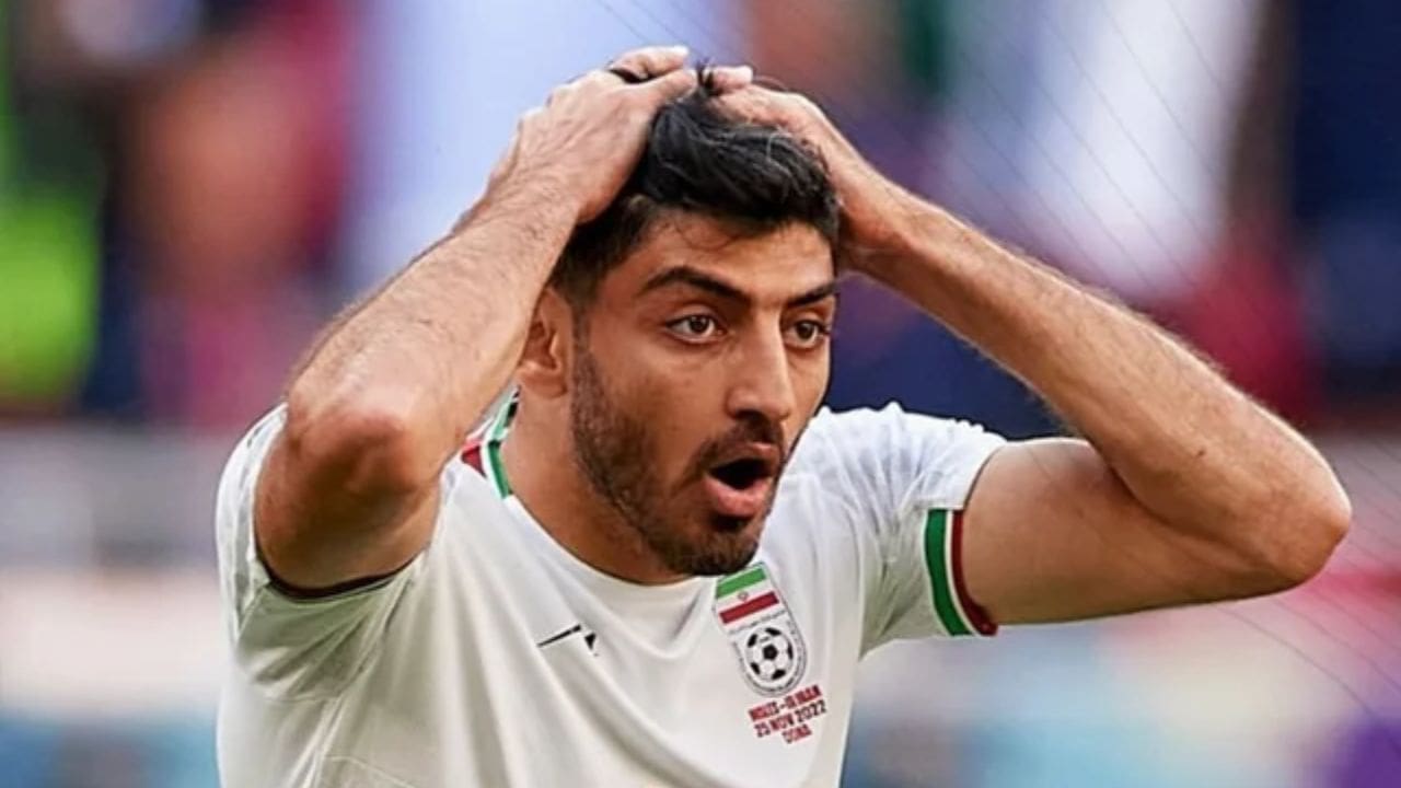 Mehdi Torabi's Net Worth Details