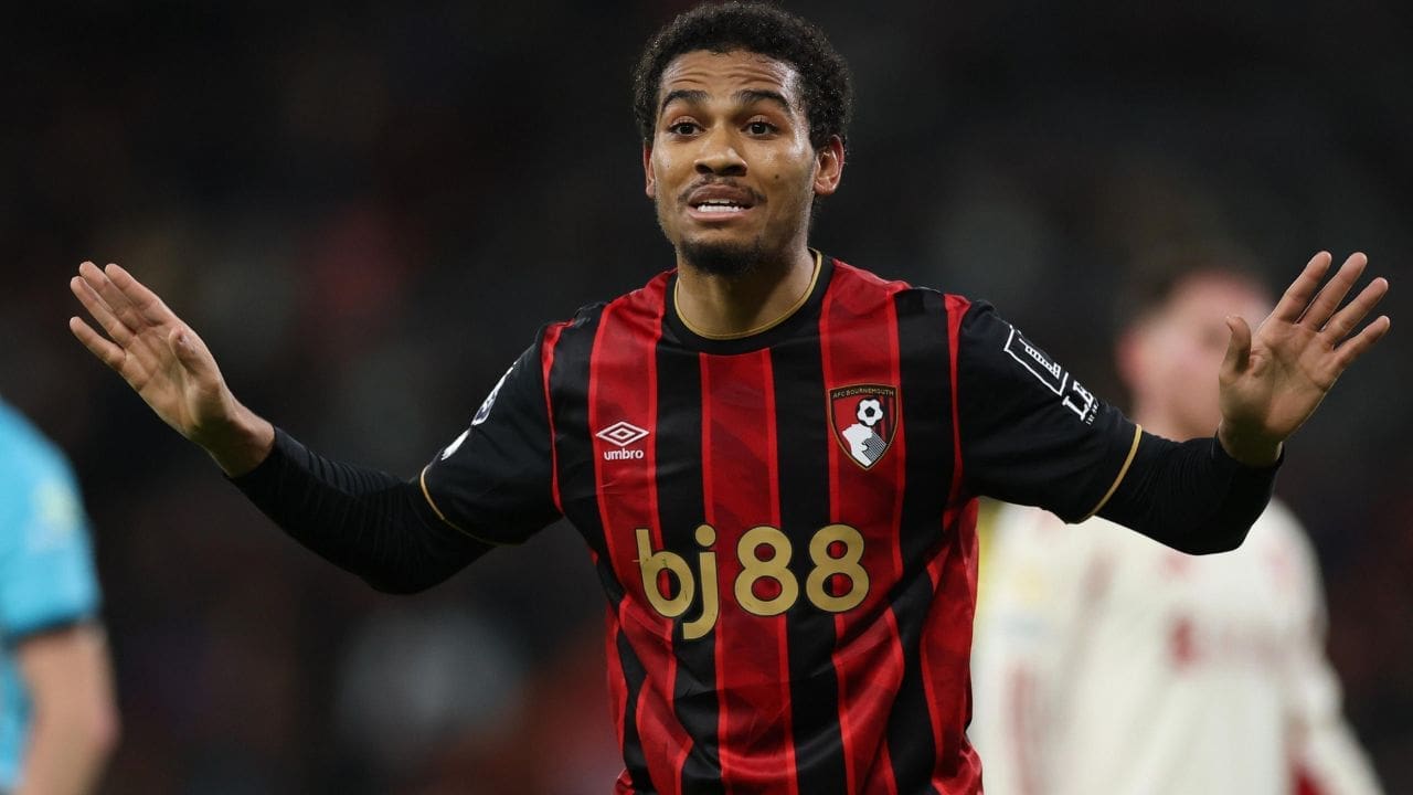 Amine Adli's Net Worth Details